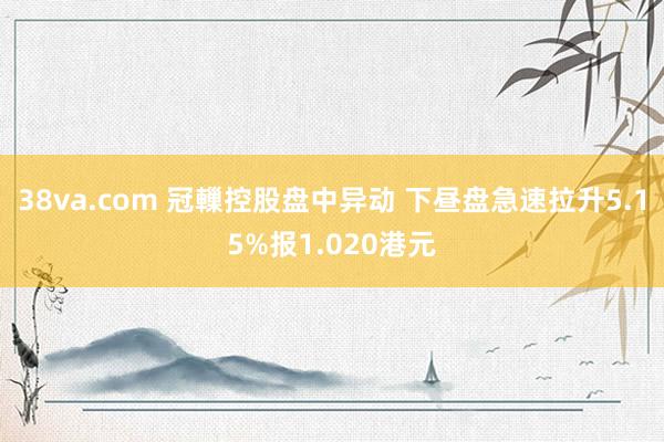 38va.com 冠轈控股盘中异动 下昼盘急速拉升5.15%报1.020港元