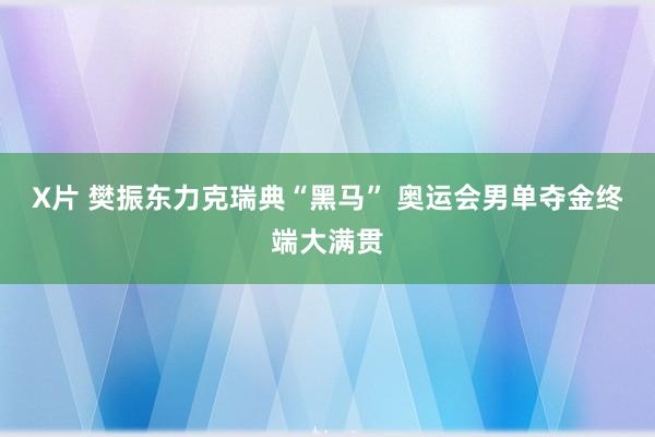 X片 樊振东力克瑞典“黑马” 奥运会男单夺金终端大满贯