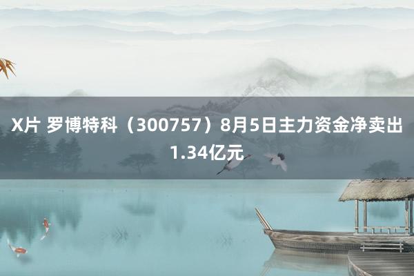 X片 罗博特科（300757）8月5日主力资金净卖出1.34亿元