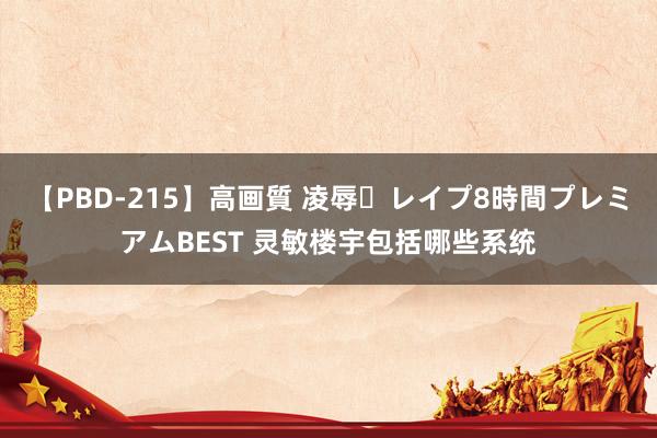 【PBD-215】高画質 凌辱・レイプ8時間プレミアムBEST 灵敏楼宇包括哪些系统