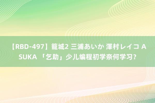 【RBD-497】籠城2 三浦あいか 澤村レイコ ASUKA 「乞助」少儿编程初学奈何学习？