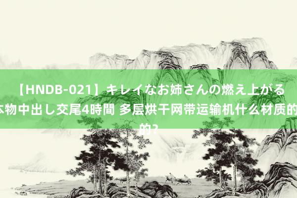 【HNDB-021】キレイなお姉さんの燃え上がる本物中出し交尾4時間 多层烘干网带运输机什么材质的？