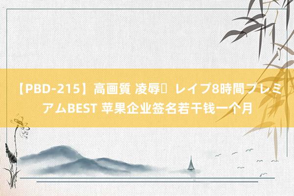 【PBD-215】高画質 凌辱・レイプ8時間プレミアムBEST 苹果企业签名若干钱一个月