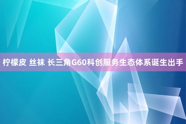 柠檬皮 丝袜 长三角G60科创服务生态体系诞生出手