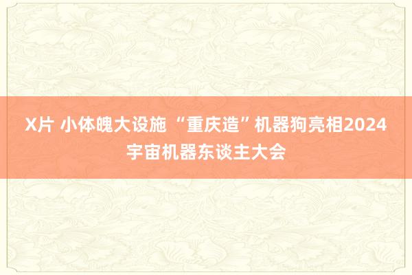 X片 小体魄大设施 “重庆造”机器狗亮相2024宇宙机器东谈主大会