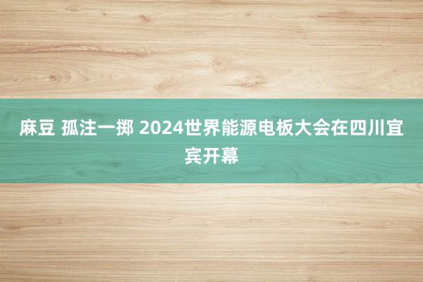 麻豆 孤注一掷 2024世界能源电板大会在四川宜宾开幕