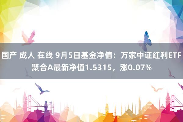 国产 成人 在线 9月5日基金净值：万家中证红利ETF聚合A最新净值1.5315，涨0.07%