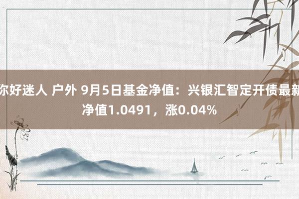 你好迷人 户外 9月5日基金净值：兴银汇智定开债最新净值1.0491，涨0.04%