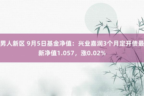 男人新区 9月5日基金净值：兴业嘉润3个月定开债最新净值1.057，涨0.02%