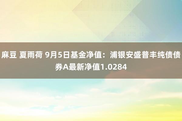 麻豆 夏雨荷 9月5日基金净值：浦银安盛普丰纯债债券A最新净值1.0284