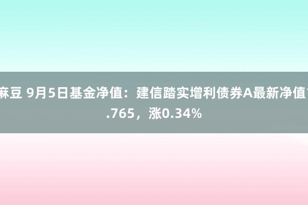 麻豆 9月5日基金净值：建信踏实增利债券A最新净值1.765，涨0.34%