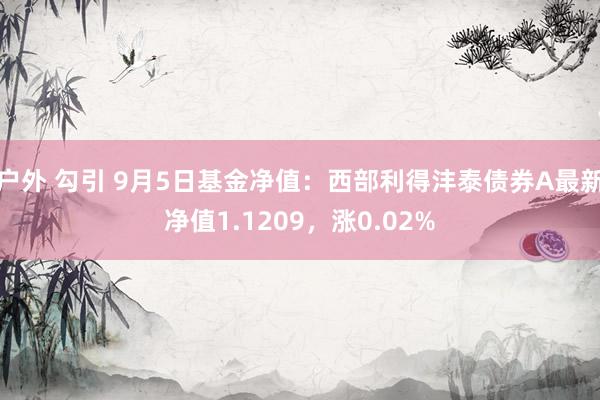 户外 勾引 9月5日基金净值：西部利得沣泰债券A最新净值1.1209，涨0.02%