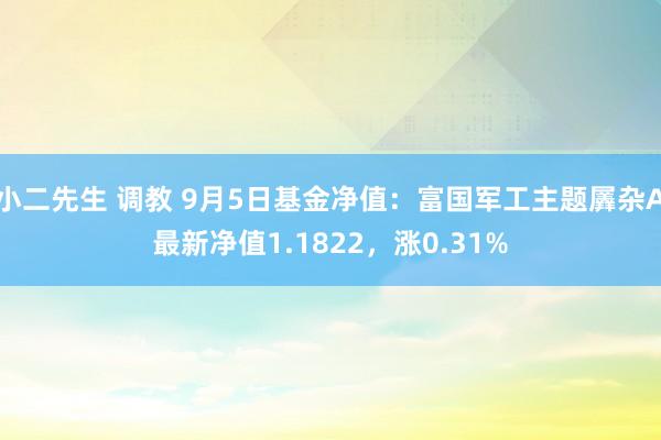 小二先生 调教 9月5日基金净值：富国军工主题羼杂A最新净值1.1822，涨0.31%