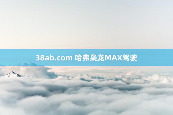 38ab.com 哈弗枭龙MAX驾驶