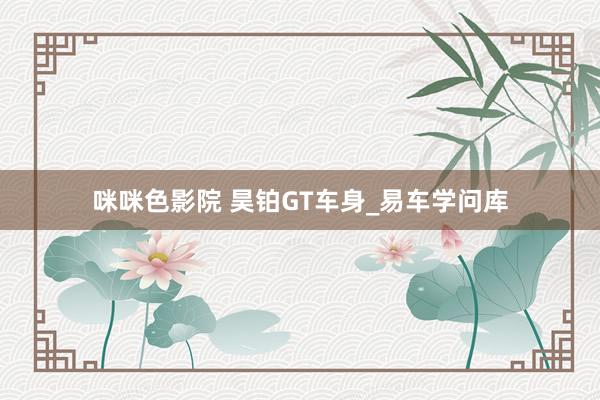 咪咪色影院 昊铂GT车身_易车学问库